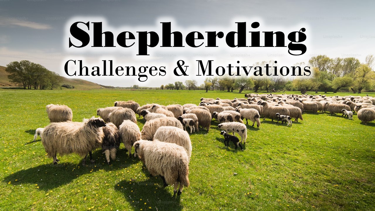 Shepherding - Challenges and Motivations